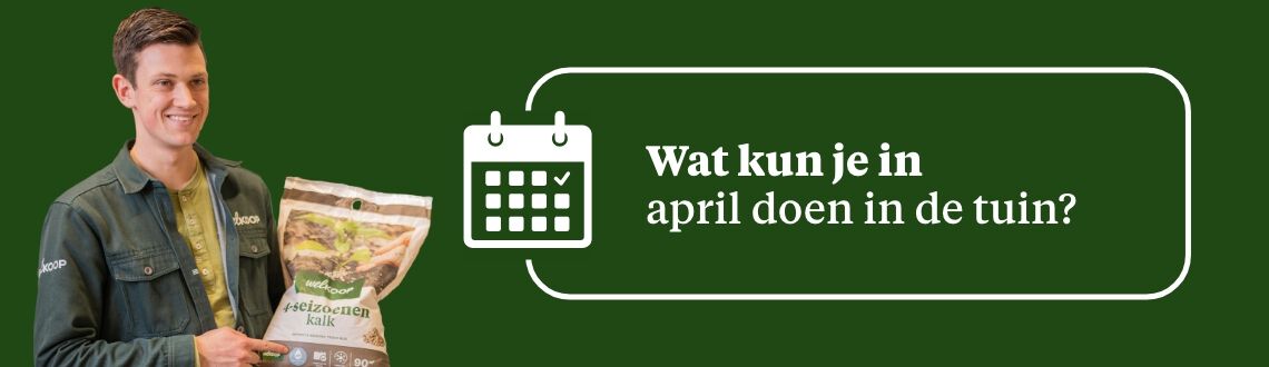 [paste advice page name here]